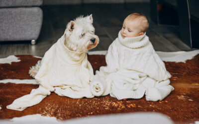 Hund og baby – Sådan skaber du en god start