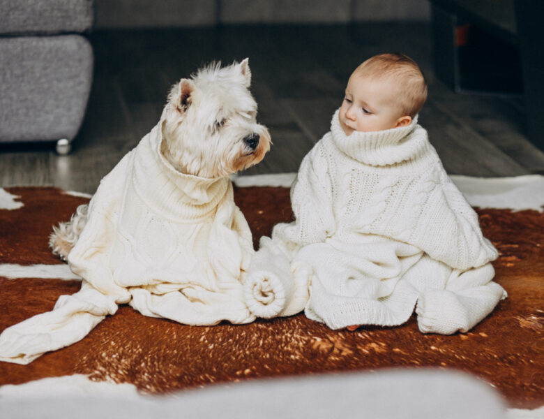 Hund og baby – Sådan skaber du en god start